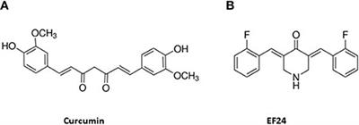 Bioactivities of EF24, a Novel Curcumin Analog: A Review